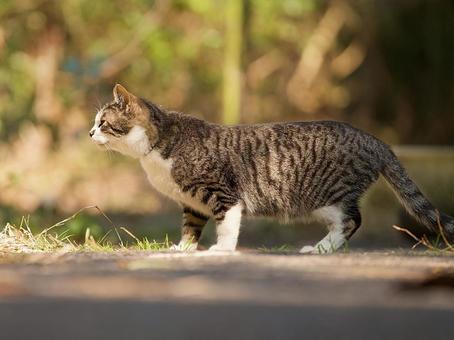 企業のイメージ写真